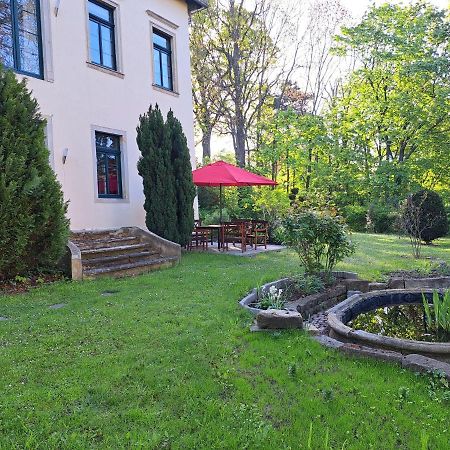 Gaestehaus Villa Seraphinum Dresden Ngoại thất bức ảnh
